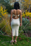 Jewel Knit Midi Dress