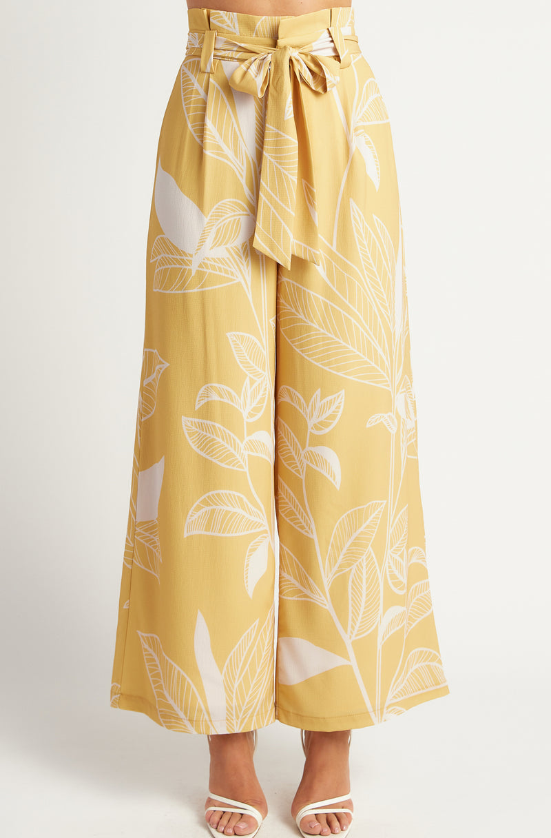 Hudson Paper Bag Pants | Print