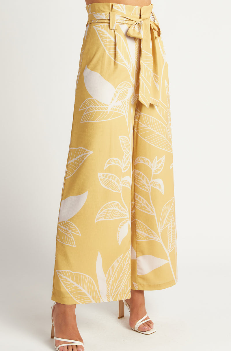 Hudson Paper Bag Pants | Print