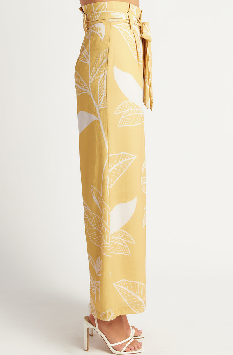 Hudson Paper Bag Pants | Print