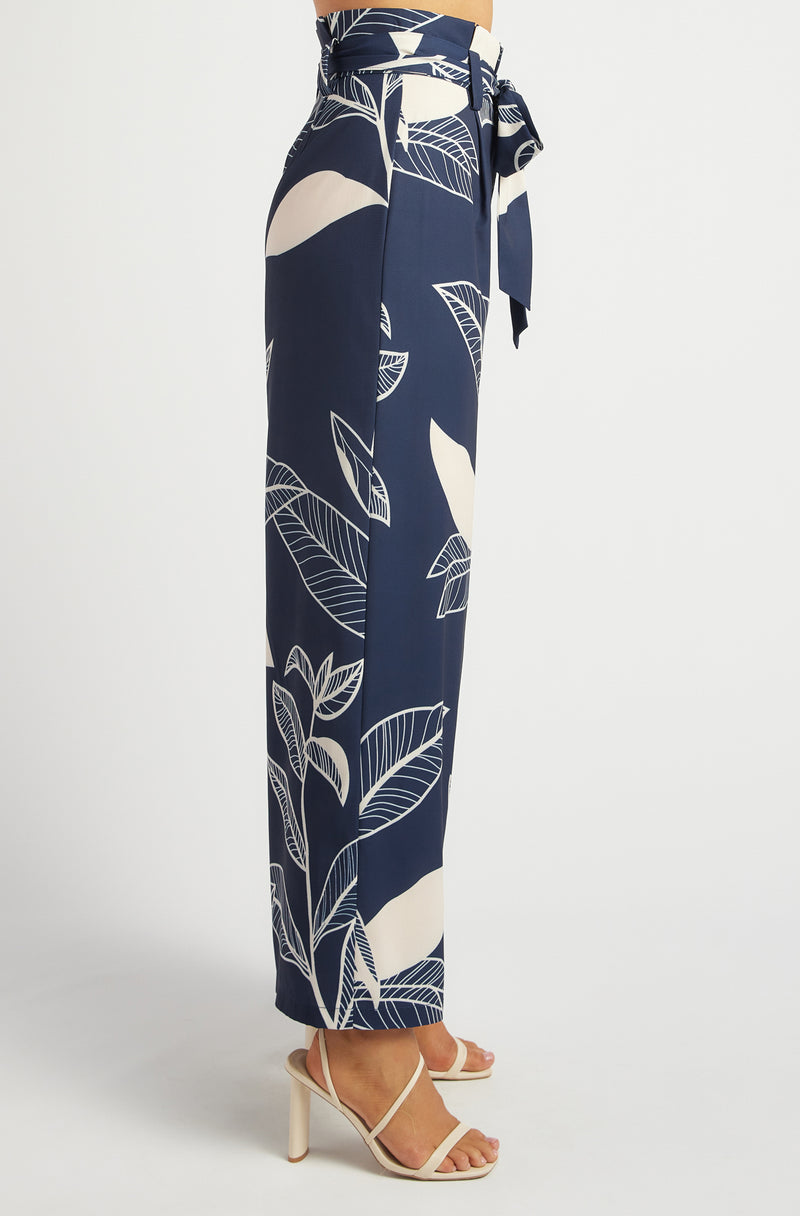 Hudson Paper Bag Pants | Print