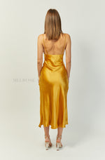 Khaleesi Maxi Dress
